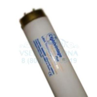 Лампа Lightvintage Premium Plus 24/200 WR XXL (200 см)