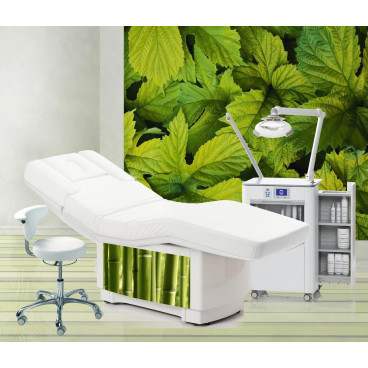 Кушетка WELLITY STARLIGHT