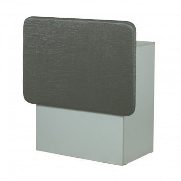 Стойка администратора "БЕРТА"