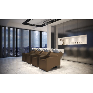 Мойка парикмахерская &quot;WASHLOUNGE JUBILEE E&quot;