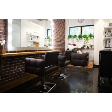 Парикмахерское кресло &quot;Aurora&quot;